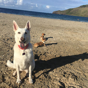 Meet your Posher, Ericka